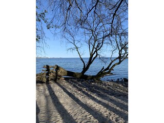 Casa per le vacanze Sierksdorf Ambiente 30