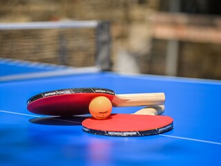 Casa per le vacanze Potpićan Ambiente 33