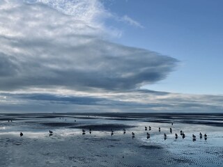 Blick nach Amrum