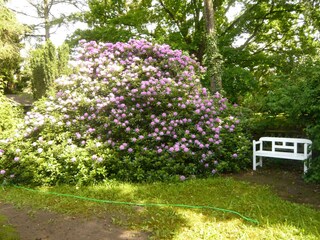Blick in den Garten