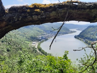 Naturlehrpfad in Kamp-Bornhofen