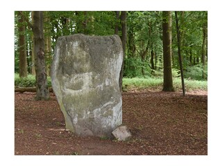 Appartamento per vacanze Uppershausen Ambiente 14