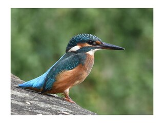 Appartamento per vacanze Uppershausen Ambiente 15