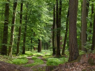 Appartamento per vacanze Uppershausen Ambiente 18