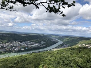 Blick aus den Weinbergen auf Graach und Kues