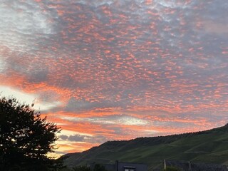 Casa per le vacanze Graach an der Mosel Ambiente 15