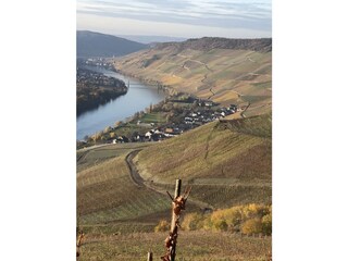 Casa per le vacanze Graach an der Mosel Ambiente 16