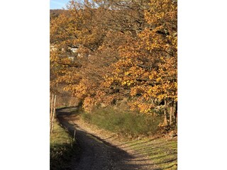 Wanderung im Herbst