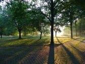 Blick auf Parkplatz morgens