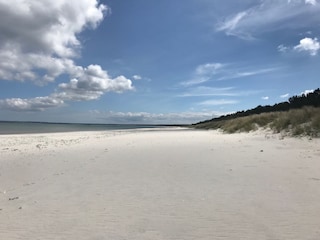 an der Ostsee Mai 2020