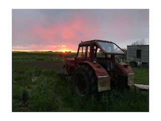 Sonnenuntergang in der Nähe 04.2020