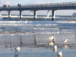 Appartamento Binz Ambiente 22