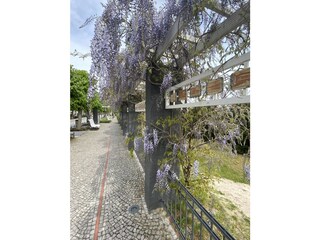 Appartamento Binz Ambiente 25