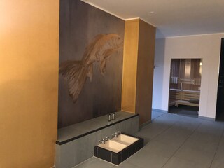 Kneipp Becken-2.Sauna im Hintergrund
