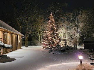 Winter Hofeinfahrt