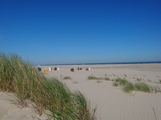 am Strand