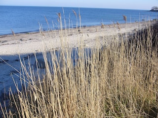 Strandfeeling
