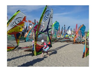 Surffestival