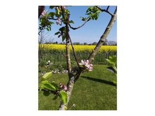 Frühling