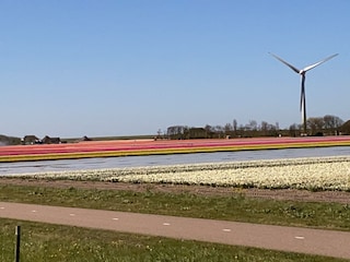 Maison de vacances Dirkshorn Environnement 22