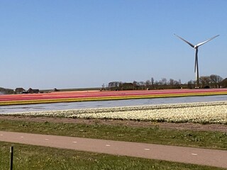 Vakantiehuis Dirkshorn Omgeving 22