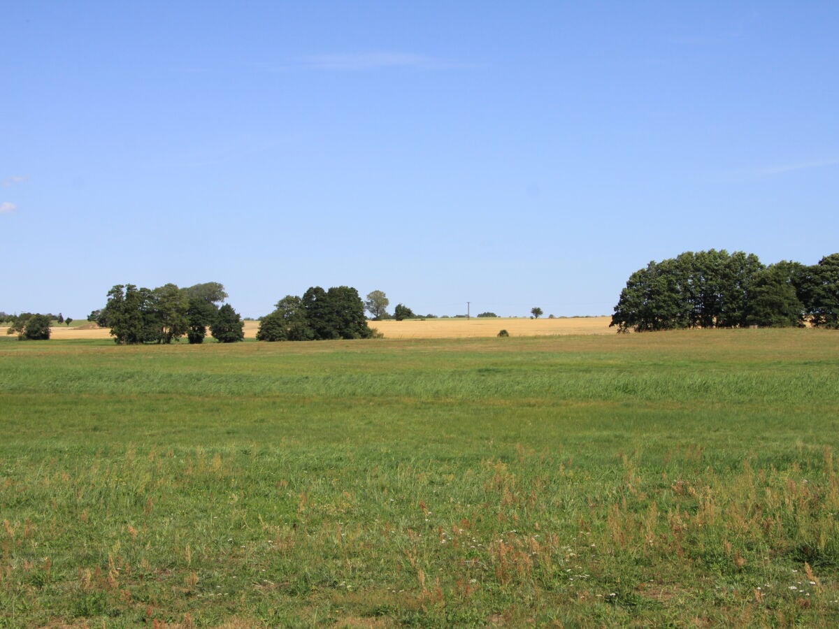 Blick über die Felder