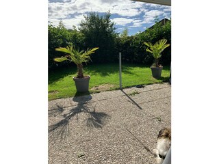 Terrasse mit grün