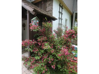 Ferienwohnung Baiersbronn Außenaufnahme 4