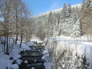 Unser "Hausbach"