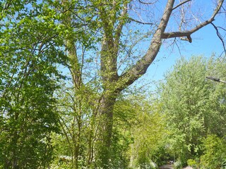 Casa per le vacanze Renesse Ambiente 28