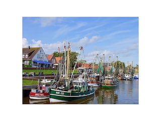 Hafen Greetsiel mit Krabbenkutterflotte