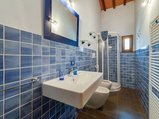 Type de propriété : Ferme Terranuova Bracciolini Équipement 24