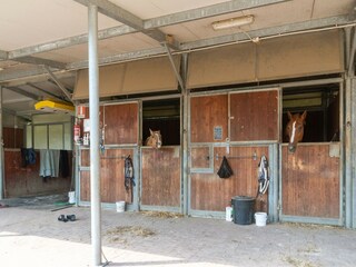 Boerderij Terranuova Bracciolini  34