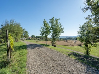 Bauernhof Terranuova Bracciolini Ausstattung 30