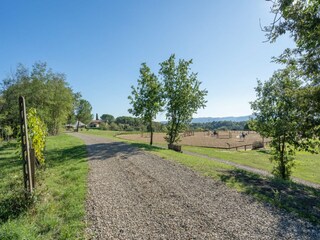 Type de propriété : Ferme Terranuova Bracciolini Équipement 30