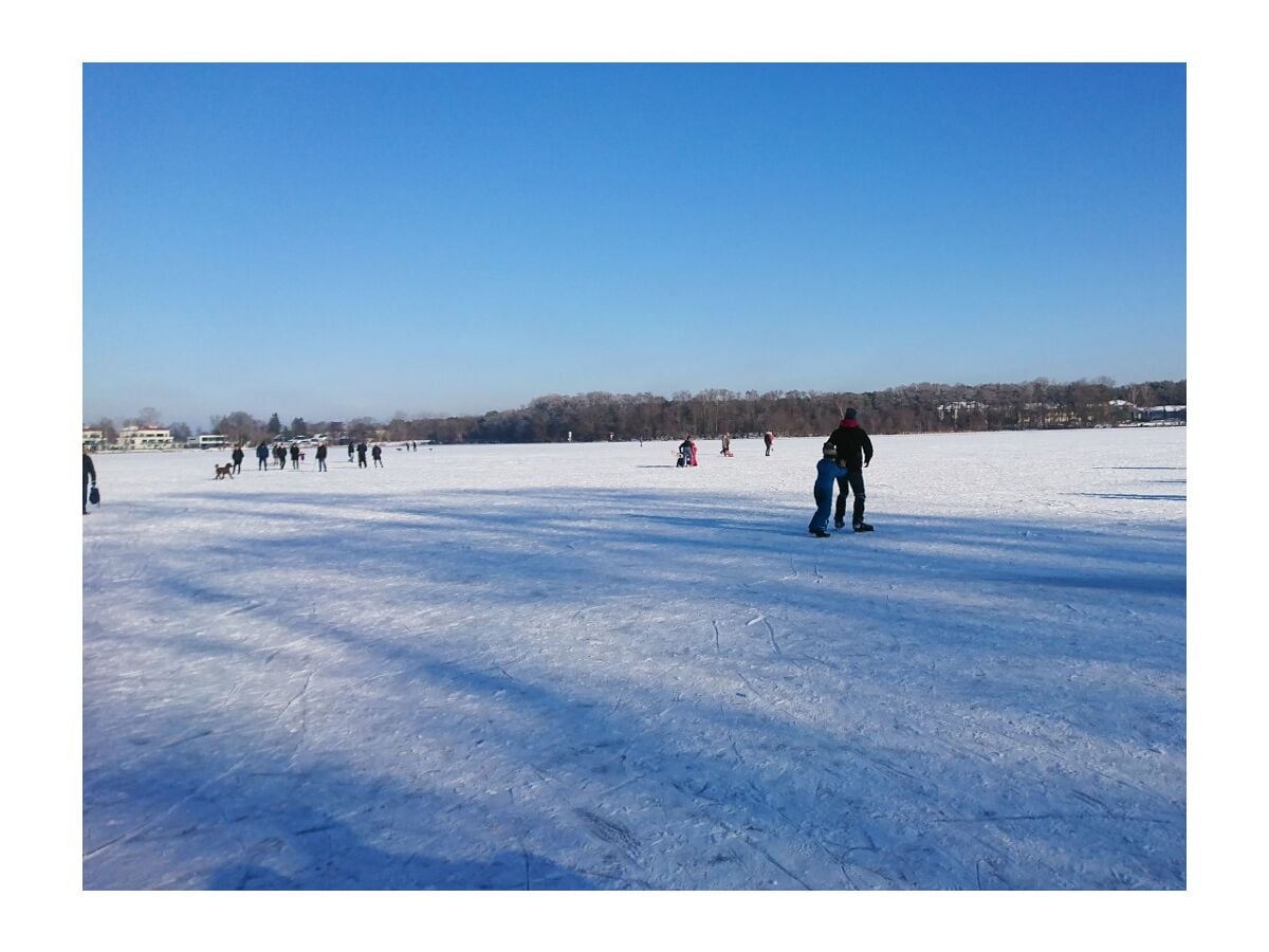 Zeuthener See im Winter