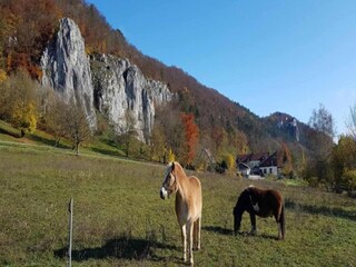 Casa per le vacanze Riedenburg Ambiente 37
