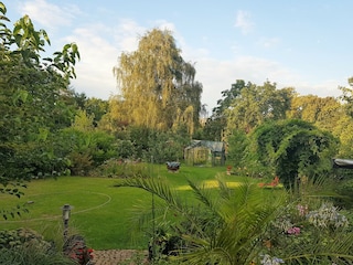 Blick in den Garten