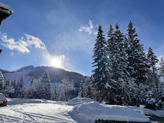 Appartamento per vacanze Leutasch Registrazione all'aperto 6