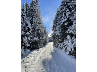 Appartamento per vacanze Leutasch Ambiente 28