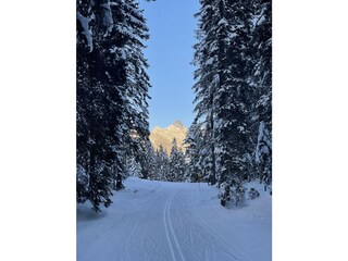 Appartamento per vacanze Leutasch Ambiente 27