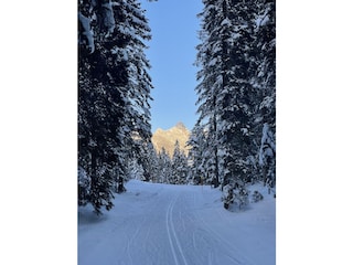 Langlaufloipe mit Blick auf Ahrnspitze