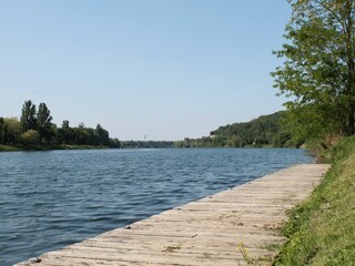 Rhein bei Sasbach