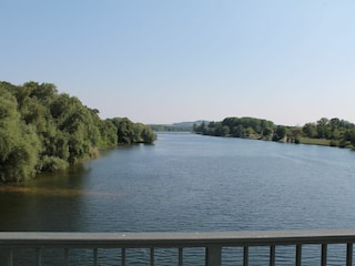 Rhein bei Sasbach