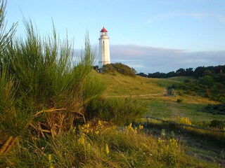 Leuchtturm auf Hiddensee