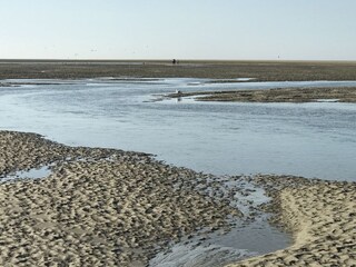 Casa per le vacanze Renesse Ambiente 17