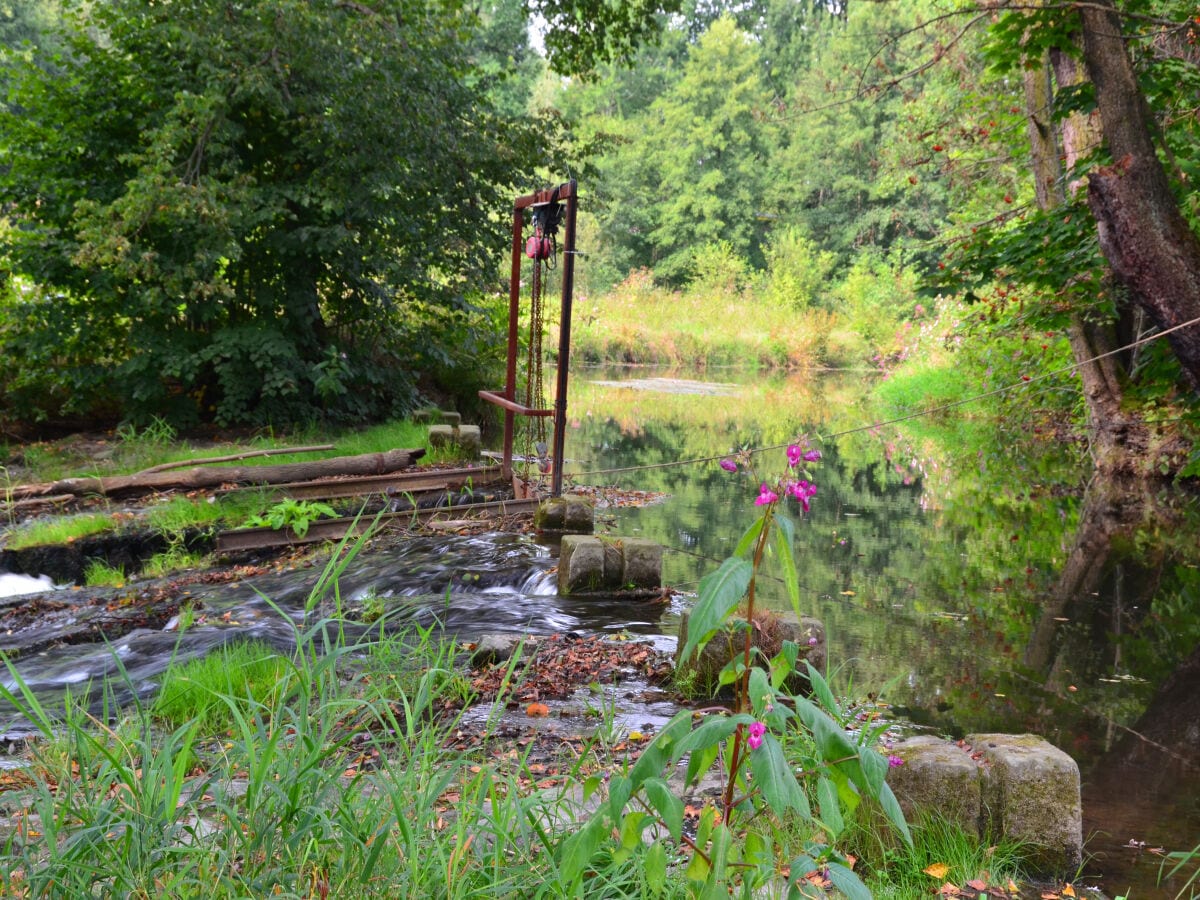 Natur zum Entspannen