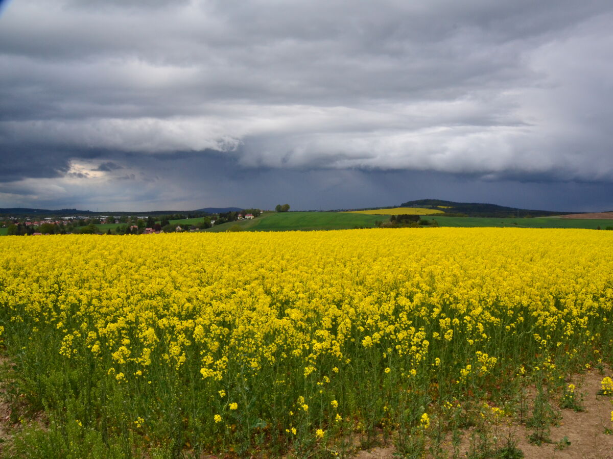 Gegend bei Rammenau