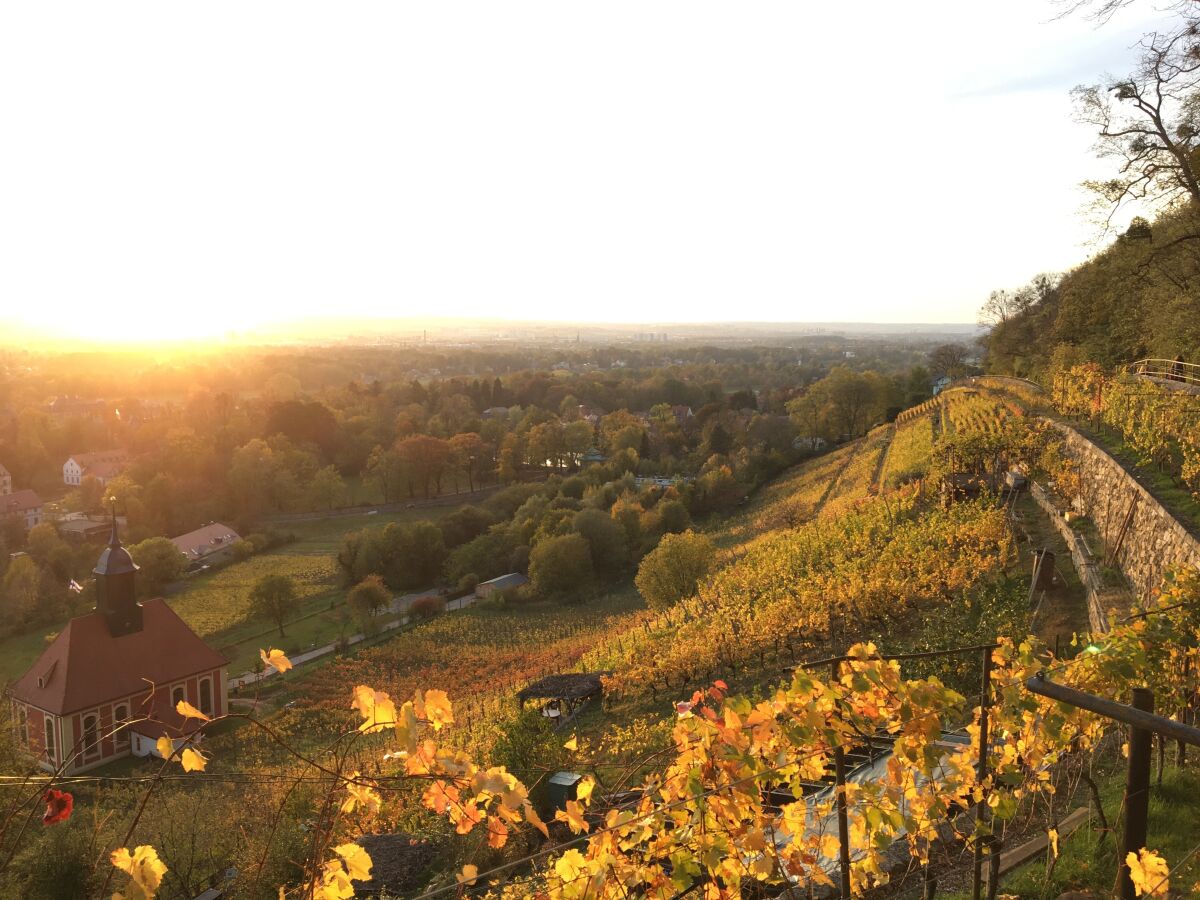 Weingut Zimmerling Dresden im Herbst