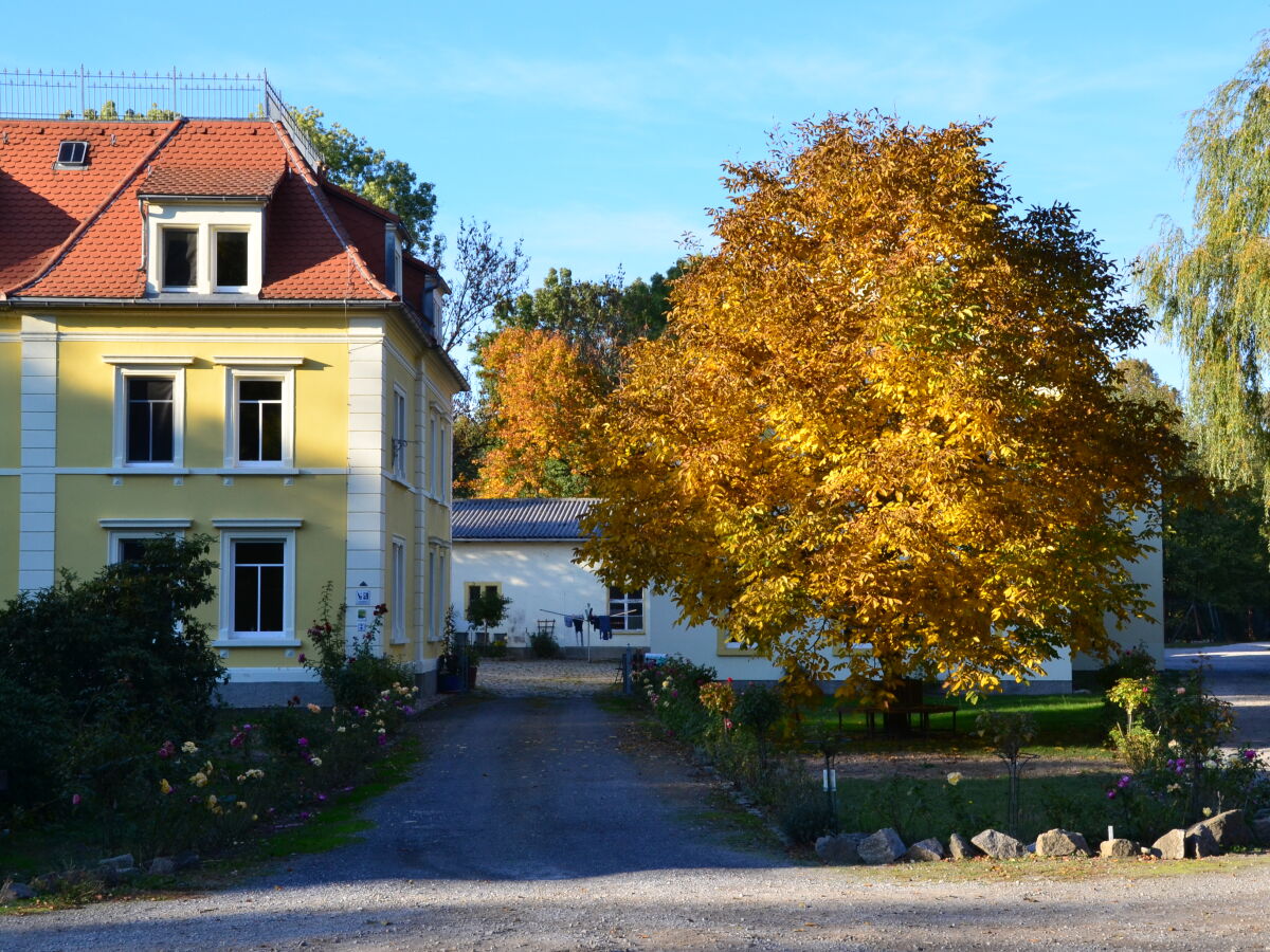 herbstlicher Farbenreichtum